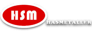 HSM